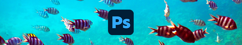 Adobe Photoshop